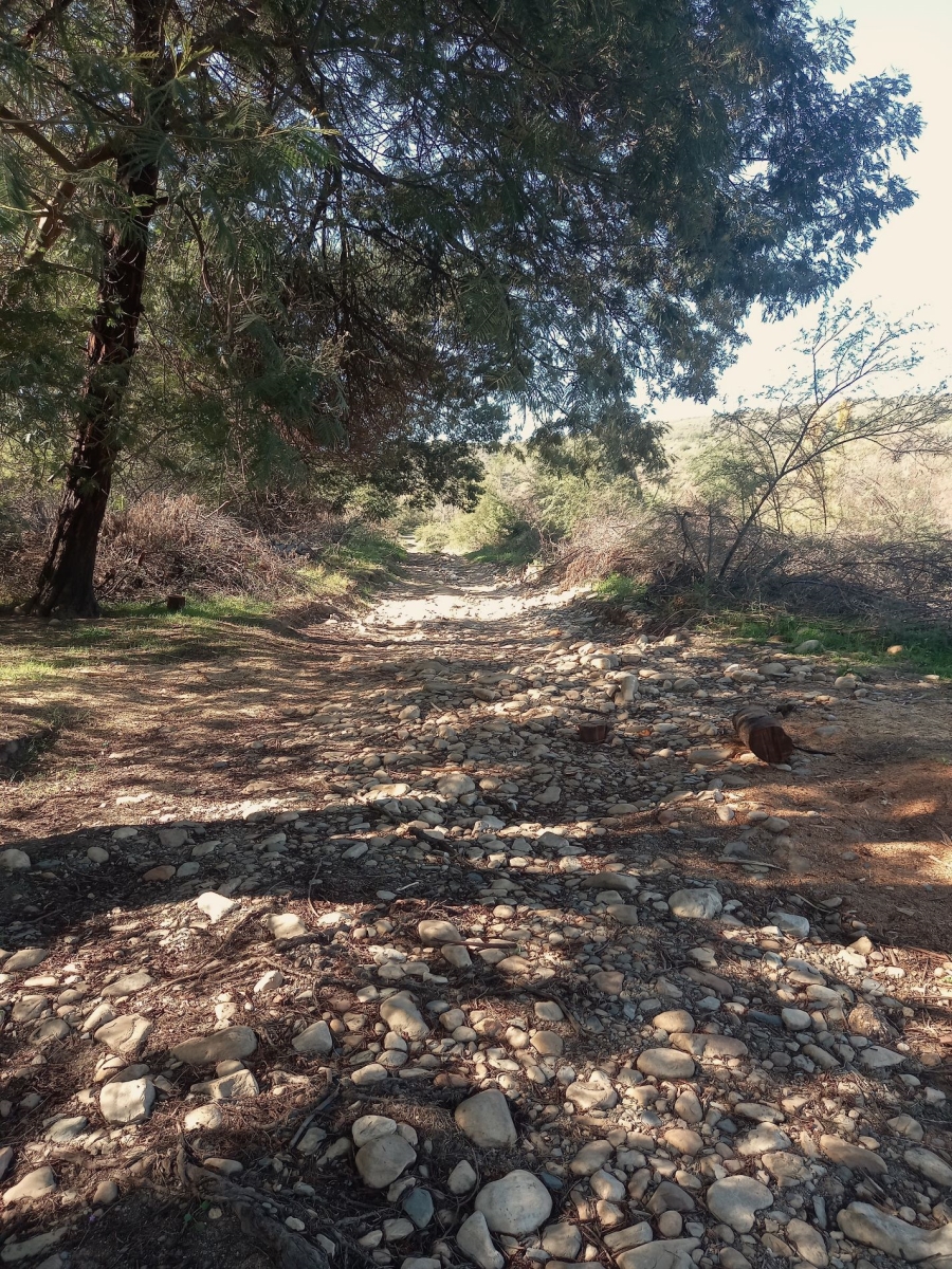 Commercial Property for Sale in George Rural Western Cape